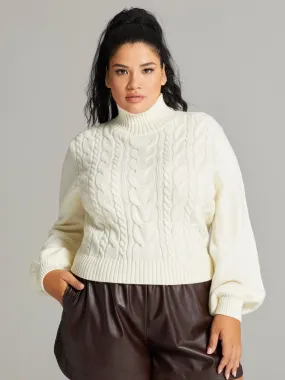 Kina Turtleneck Cable Knit Sweater