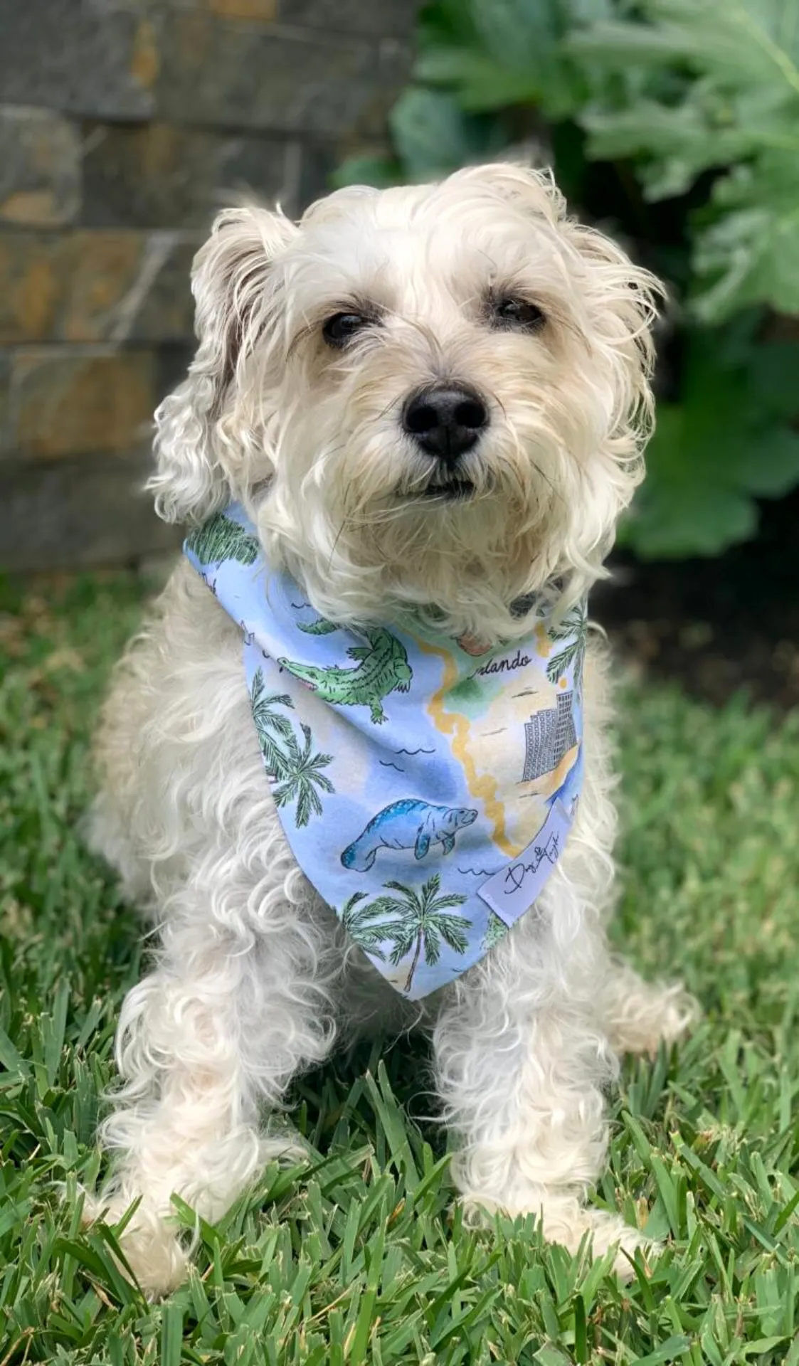 Welcome To Florida Dog Bandana