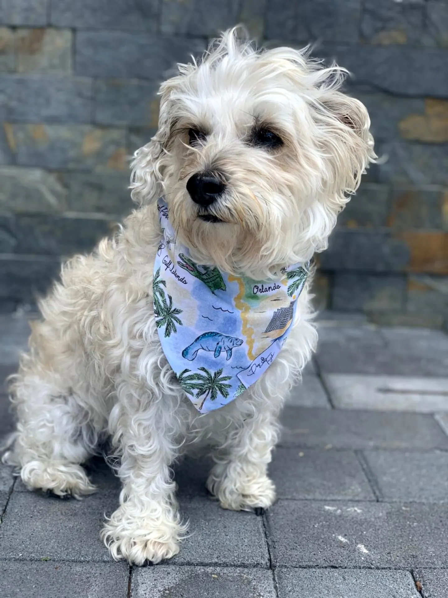 Welcome To Florida Dog Bandana
